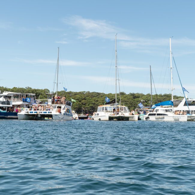 Several boats are anchored close together on a calm body of water, with lush green trees in the background under a clear blue sky. People can be seen on the boats, suggesting a leisurely gathering or event.