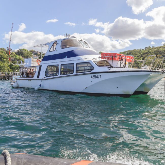 A white and blue motorboat is anchored on clear blue water near a shoreline with green trees and some buildings in the background under a partly cloudy sky.